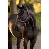 LeMieux Cabezada Essence Color ES: Ciruela LeMieux Cabezada Essence Color ES: Ciruela