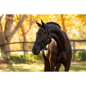 LeMieux Cabezada Essence Negro LeMieux Cabezada Essence Negro