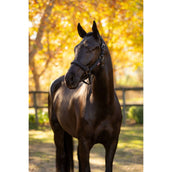 LeMieux Cabezada Essence Negro LeMieux Cabezada Essence Negro