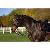 LeMieux Bonete para Orejas Loire Navy/Cranberry LeMieux Bonete para Orejas Loire Navy/Cranberry