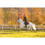 LeMieux Mantilla Suede saltando Navy/Cranberry LeMieux Mantilla Suede saltando Navy/Cranberry