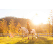 LeMieux Mantilla Suede saltando Navy/Cranberry LeMieux Mantilla Suede saltando Navy/Cranberry