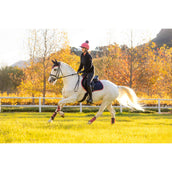 LeMieux Mantilla Suede saltando Navy/Cranberry LeMieux Mantilla Suede saltando Navy/Cranberry