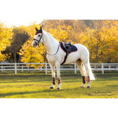 LeMieux Mantilla Suede saltando Navy/Cranberry LeMieux Mantilla Suede saltando Navy/Cranberry