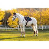 LeMieux Mantilla Suede saltando Navy/Cranberry LeMieux Mantilla Suede saltando Navy/Cranberry