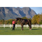 LeMieux Mantilla Loire Classic Doma clásica Navy/Cranberry LeMieux Mantilla Loire Classic Doma clásica Navy/Cranberry