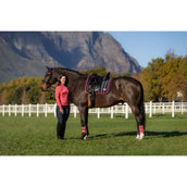 LeMieux Mantilla Loire Classic Doma clásica Navy/Cranberry LeMieux Mantilla Loire Classic Doma clásica Navy/Cranberry