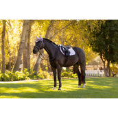 LeMieux Mantilla Merino Suede saltando Lilac LeMieux Mantilla Merino Suede saltando Lilac