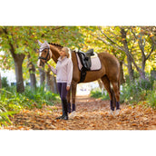 LeMieux Mantilla Merino Suede Doma clásica Lilac LeMieux Mantilla Merino Suede Doma clásica Lilac