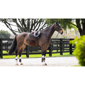 LeMieux Mantilla Prosorb Plain 2 Pocket Doma Negro LeMieux Mantilla Prosorb Plain 2 Pocket Doma Negro