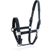 Mrs. Ros Cabezada Festive Zafiro Mrs. Ros Cabezada Festive Zafiro