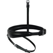 Passier Cabezada Inglés Combinado Anatómico Negro/Plata Passier Cabezada Inglés Combinado Anatómico Negro/Plata