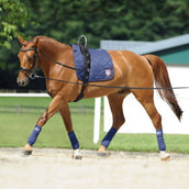 Passier Riendas Laterales Horst Becker Negro Passier Riendas Laterales Horst Becker Negro