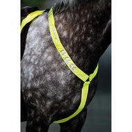 Equi-Flector by Shires Bonete para Orejas Reflectante Amarillo Fluor Equi-Flector by Shires Bonete para Orejas Reflectante Amarillo Fluor