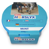 Horslyx Piedra de Lamer Mint Horslyx Piedra de Lamer Mint