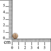 Sensipharm Inconti Stop – Pequeñas Mascotas Sensipharm Inconti Stop – Pequeñas Mascotas