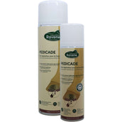 Ravene Pedicada Ravene Pedicada