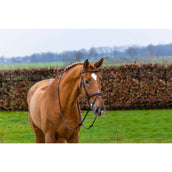 Trust Brida Knokke Marron<>Plata<>Gris Trust Brida Knokke Marron<>Plata<>Gris