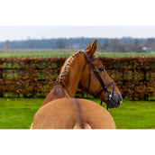 Trust Brida Knokke Marron<>Plata<>Gris Trust Brida Knokke Marron<>Plata<>Gris