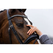 Trust Brida Rotterdam Negro/Plata Trust Brida Rotterdam Negro/Plata