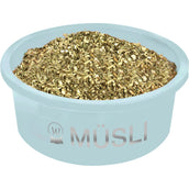 Waldhausen Plato de comida Turquesa Waldhausen Plato de comida Turquesa