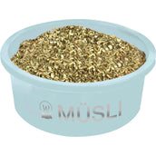 Waldhausen Plato de comida Turquesa Waldhausen Plato de comida Turquesa