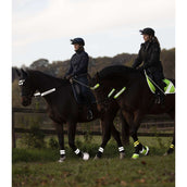 Waldhausen Conjunto de Brida Reflex 3 Piezas Amarillo Neon Waldhausen Conjunto de Brida Reflex 3 Piezas Amarillo Neon