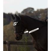 Waldhausen Conjunto de Brida Reflex 4 piezas Gris Waldhausen Conjunto de Brida Reflex 4 piezas Gris