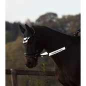 Waldhausen Conjunto de Brida Reflex 4 piezas Gris Waldhausen Conjunto de Brida Reflex 4 piezas Gris