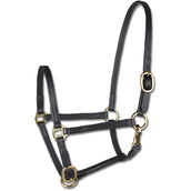 Star Cabezada de presentación Potro Negro Star Cabezada de presentación Potro Negro