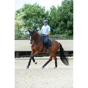 WeatherBeeta Vendajes Polares Prime 4 Piezas Negro WeatherBeeta Vendajes Polares Prime 4 Piezas Negro