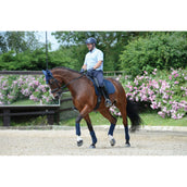 WeatherBeeta Vendajes Polares Prime 4 Piezas Navy WeatherBeeta Vendajes Polares Prime 4 Piezas Navy