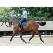 WeatherBeeta Vendajes Polares Prime 4 Piezas Navy WeatherBeeta Vendajes Polares Prime 4 Piezas Navy