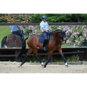 WeatherBeeta Vendajes Polares Prime 4 Piezas Navy WeatherBeeta Vendajes Polares Prime 4 Piezas Navy