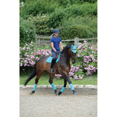 WeatherBeeta Vendajes Polares Prime 4 Piezas Turquesa WeatherBeeta Vendajes Polares Prime 4 Piezas Turquesa