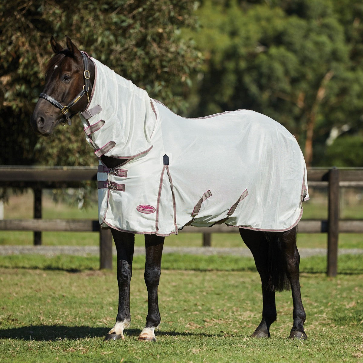 Weatherbeeta Comfitec Airflow II Combo Neck Blanco/Gris oscuro/Orquidea Weatherbeeta Comfitec Airflow II Combo Neck Blanco/Gris oscuro/Orquidea