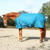 HORKA Alfombra de Exterior Dime 600D 200g Petroleo oscuro HORKA Alfombra de Exterior Dime 600D 200g Petroleo oscuro