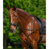 Waldhausen Riendas W-Train Waldhausen Riendas W-Train