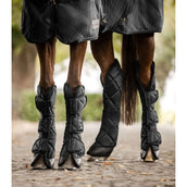 Waldhausen Protector de Transporte Exclusive Negro Waldhausen Protector de Transporte Exclusive Negro