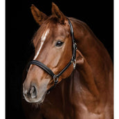 Waldhausen Cabezada S-Line Classy Negro Waldhausen Cabezada S-Line Classy Negro