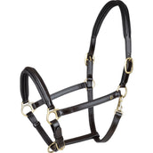 Waldhausen Cabezada S-Line Classy Marron Waldhausen Cabezada S-Line Classy Marron