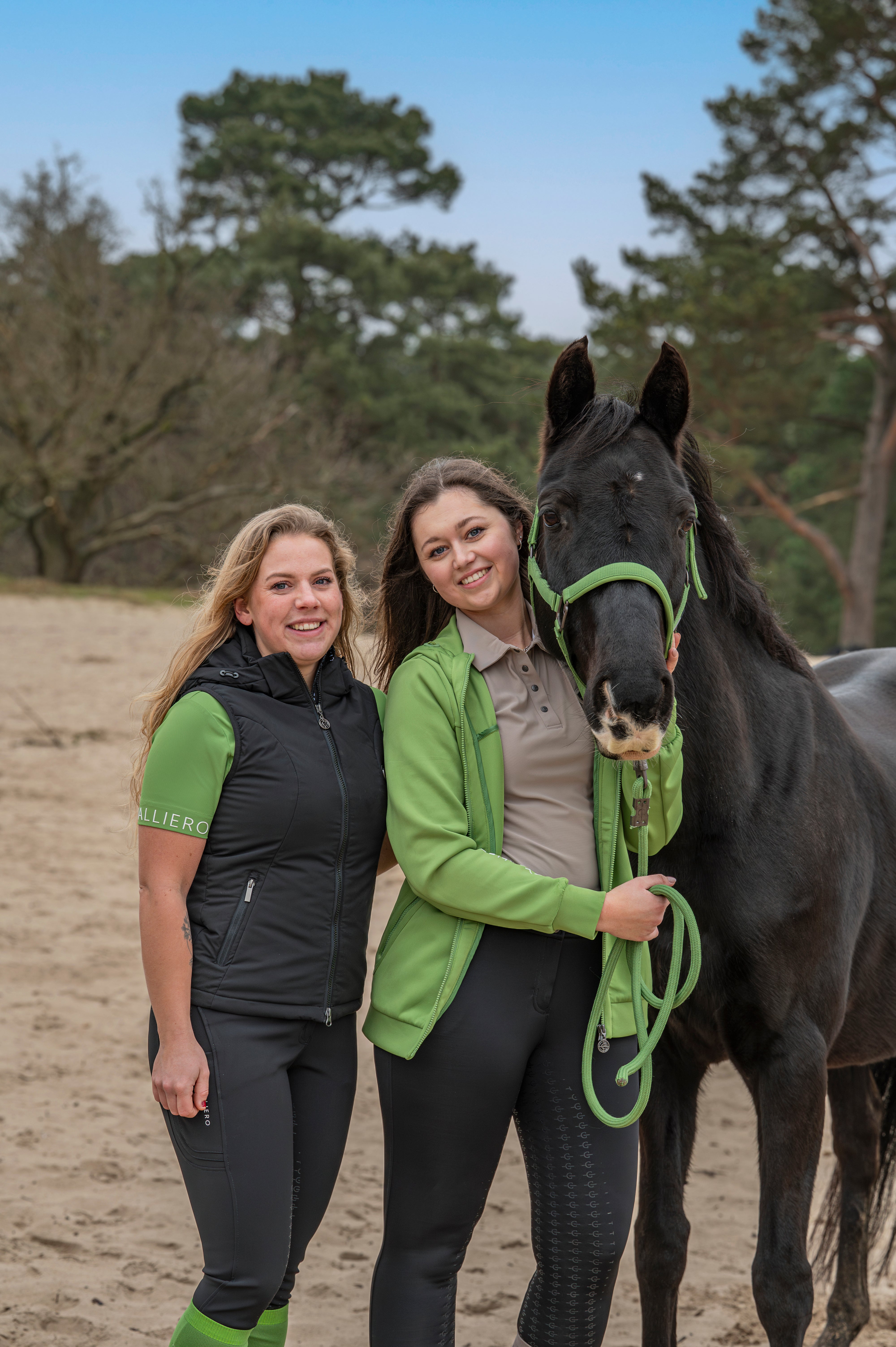 Colecciones Colecciones