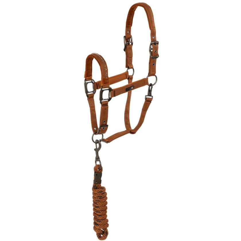 ANKY Juego de Cabestro Stones Oxido ANKY Juego de Cabestro Stones Oxido