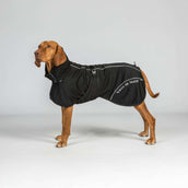 Back on Track Abrigo para Perro BAY Mesh Negro Back on Track Abrigo para Perro BAY Mesh Negro