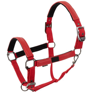 BR Cabezada AW25 Jade Rojo Tango BR Cabezada AW25 Jade Rojo Tango