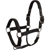 BR Cabezada AW25 Eevolv Josh Meteorite BR Cabezada AW25 Eevolv Josh Meteorite