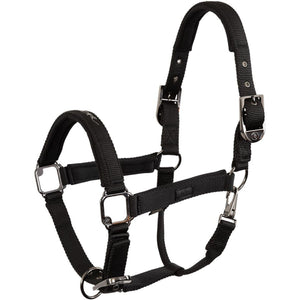 BR Cabezada AW25 Eevolv Josh Meteorite BR Cabezada AW25 Eevolv Josh Meteorite