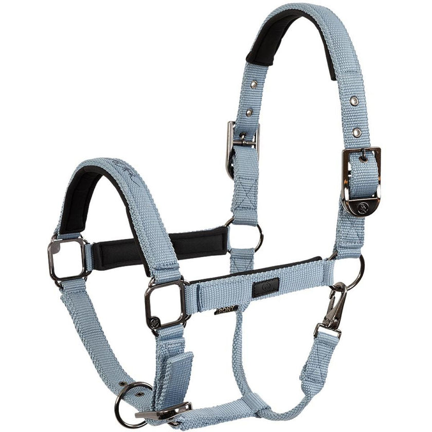 BR Cabezada AW25 Eevolv Josh Ashley Blue BR Cabezada AW25 Eevolv Josh Ashley Blue