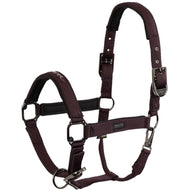 BR Cabezada AW25 Eevolv Josh Raisin BR Cabezada AW25 Eevolv Josh Raisin