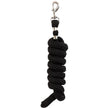 Meteorite